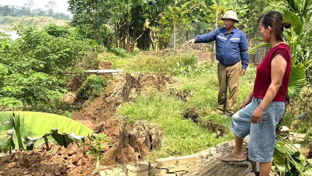 Phú Thọ: Sạt lở bờ sông Hồng tại xã Liên Minh đe dọa đất ở của người dân