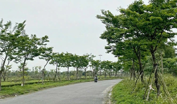 Cáo trạng Cây xanh Công Minh: Nguyễn Công Minh bị cáo buộc hưởng lợi hơn 264,8 tỉ đồng