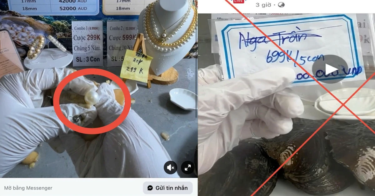 Công an TP Hồ Chí Minh chỉ ra 3 bước lừa đảo trong livestream “khui ngọc trai” hứa trúng tiền tỷ