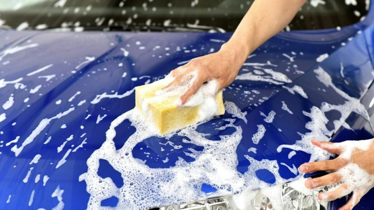 Người đàn ông Thâm Quyến viêm phổi nguy kịch sau khi tự rửa phân chim trên xe
