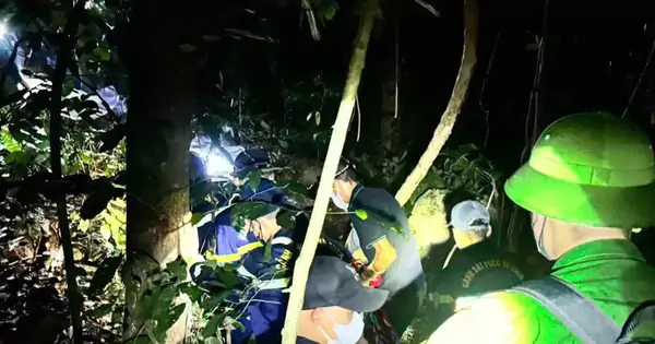Phú Thọ: tìm thấy thi thể người phụ nữ mất tích khi lên núi Quèn Trác bắt ốc