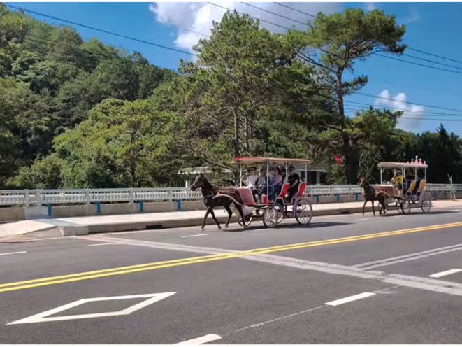 马车载客不允许在Tuyền Lâm湖旅游区运营