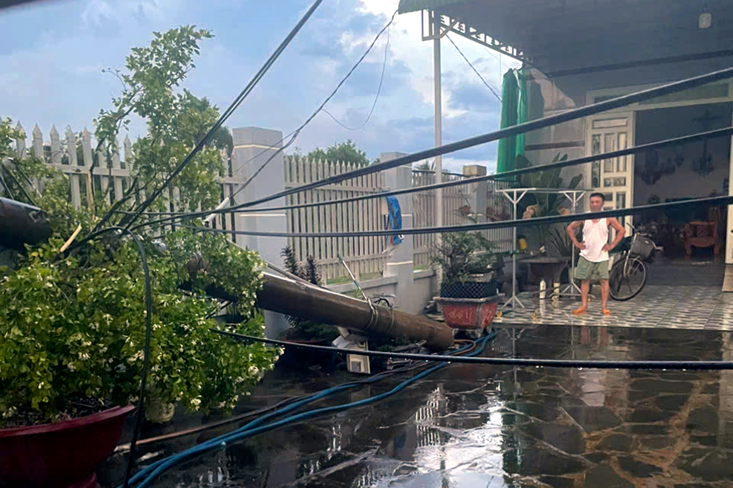 同奈：暴风雨导致多棵大树倒下，一名妇女受伤