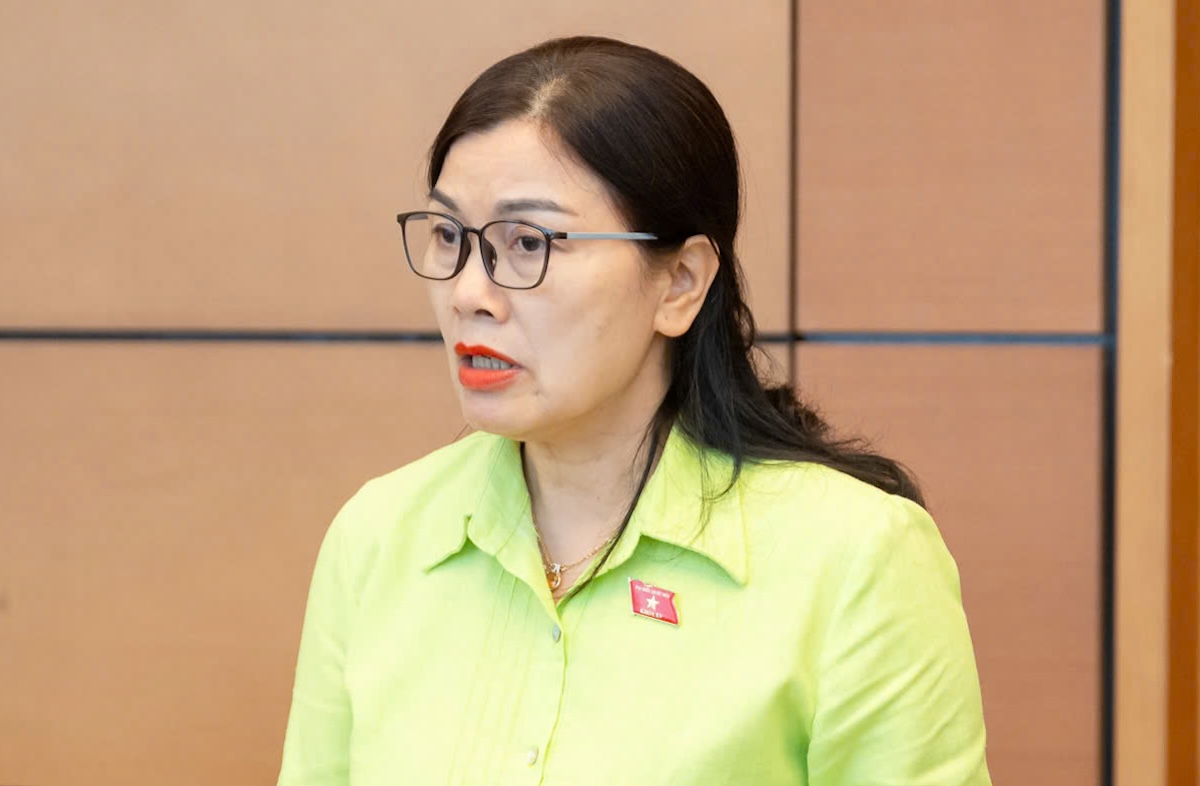 代表提议将交通违规罚款提高到2亿越南盾