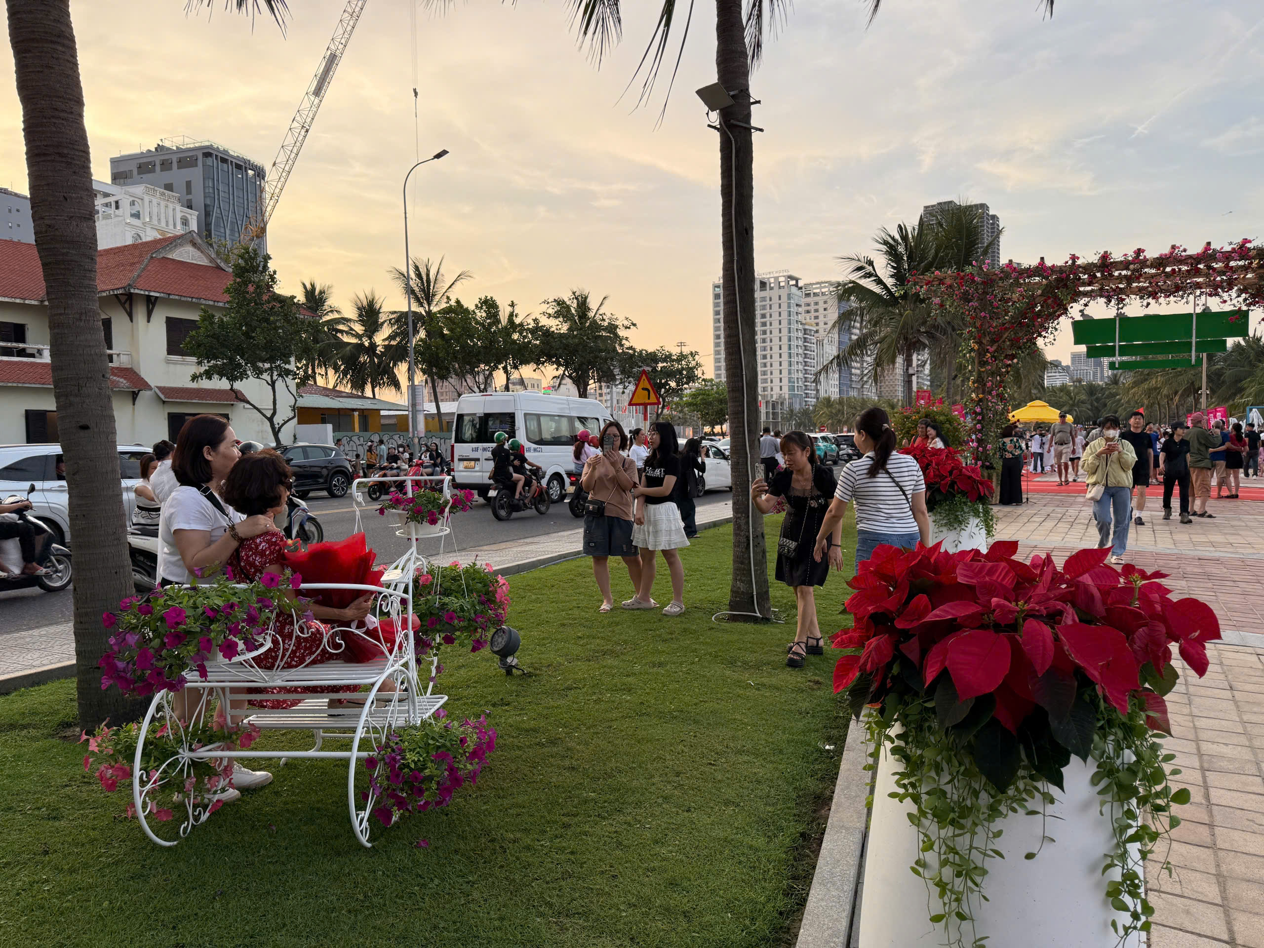 海边道路变成花路，人们纷纷打卡