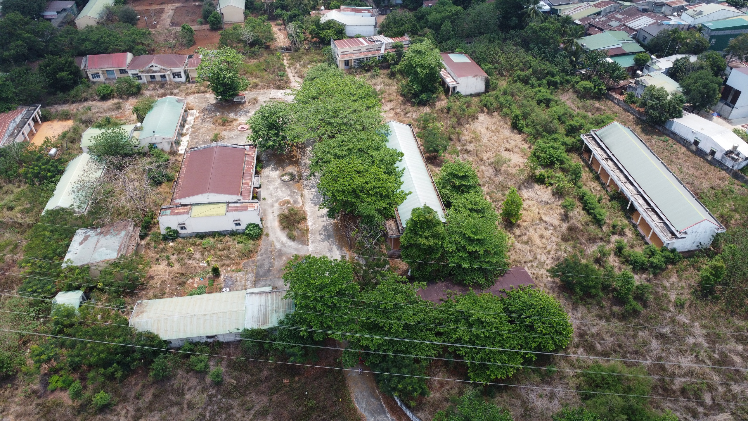 一系列'黄金土地'即将被拍卖