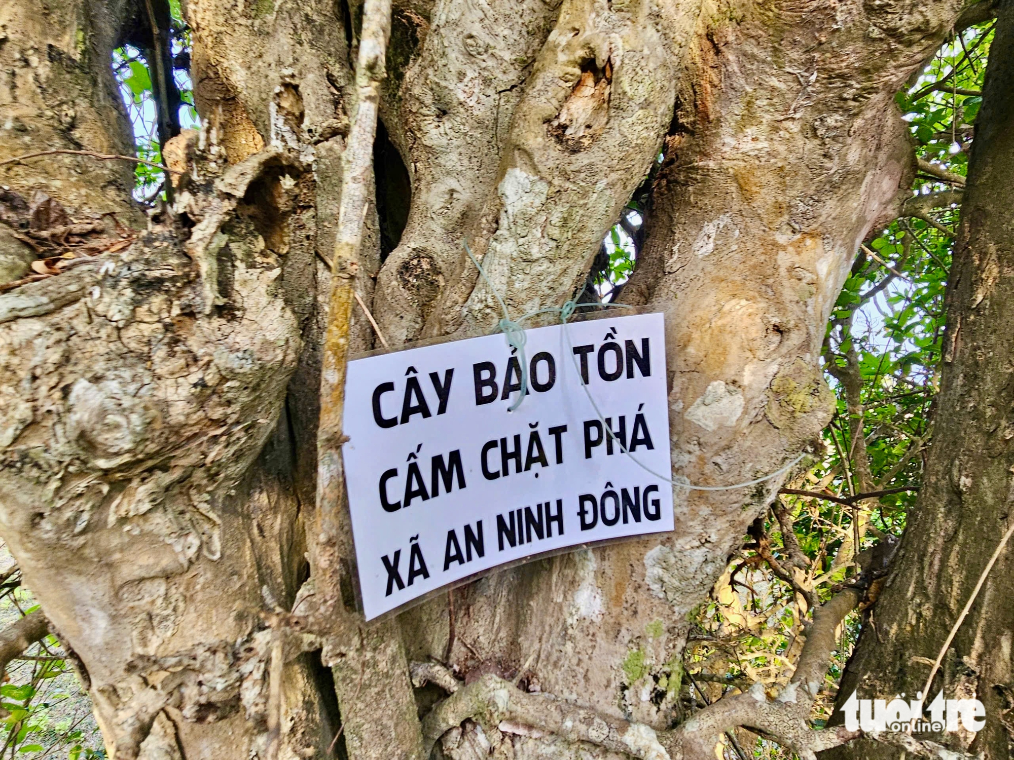 富安省的海边石头村